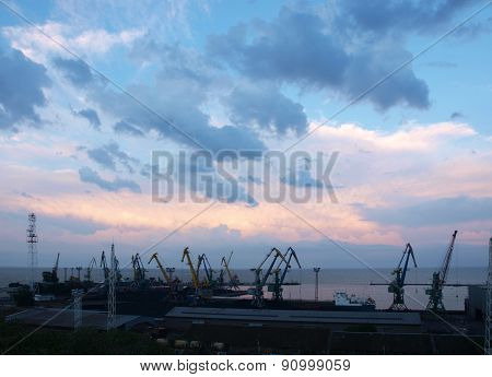 Cargo Cranes In The Pier