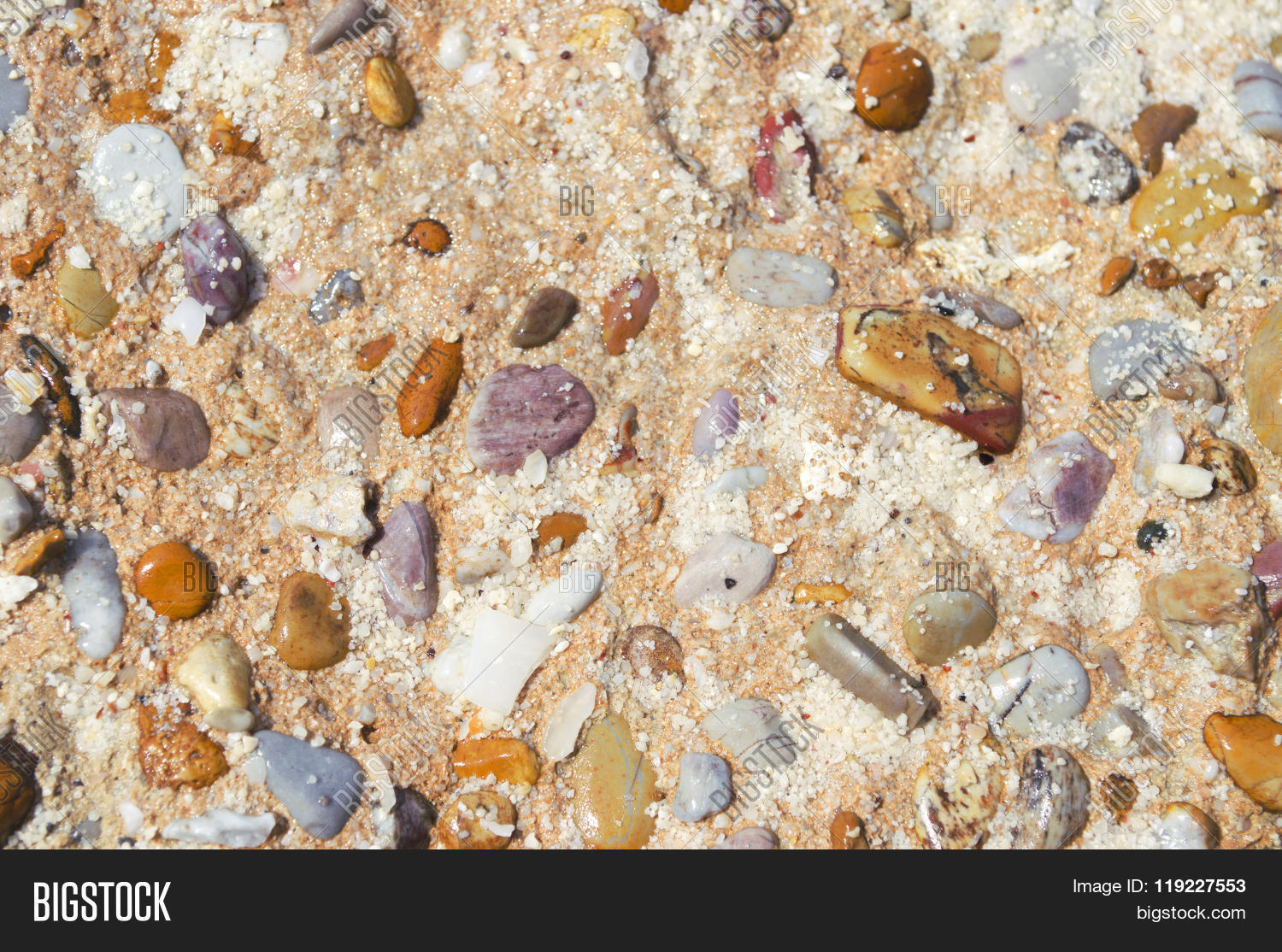 Image Preview