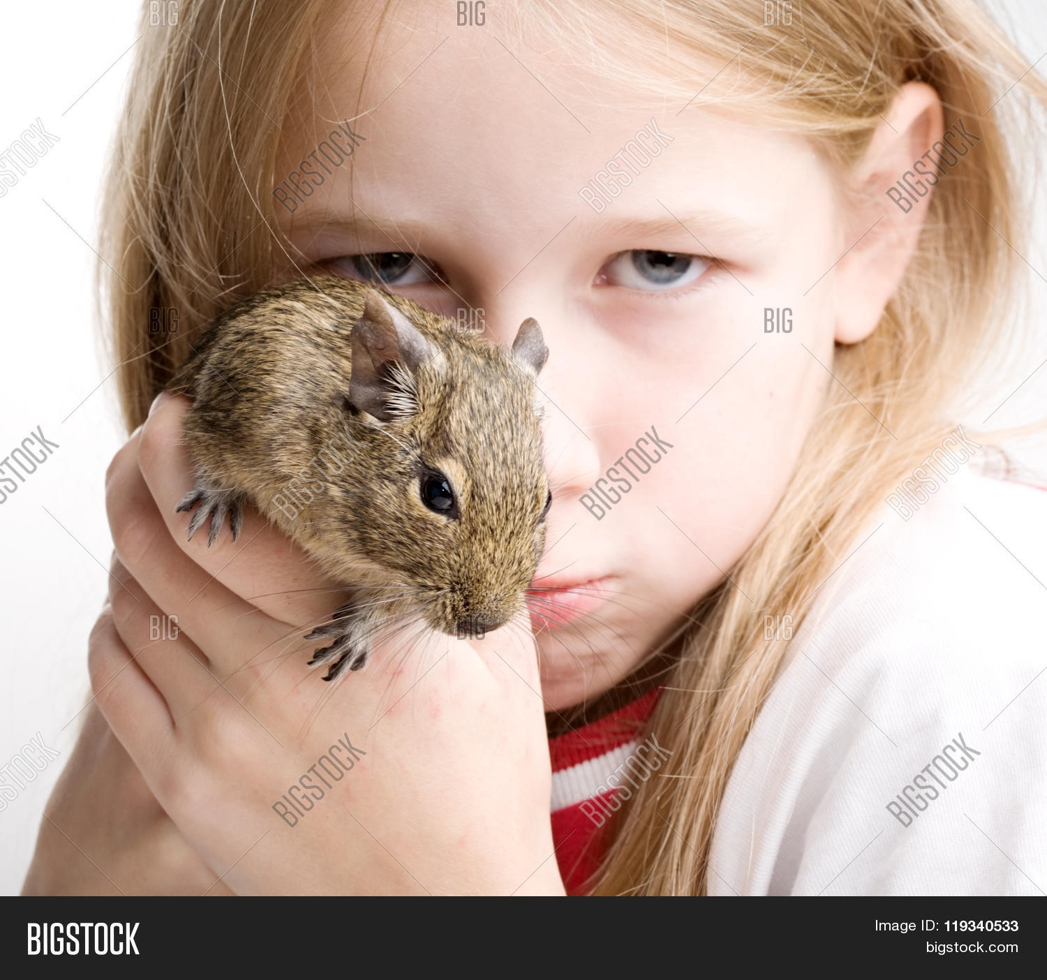 мышь мультяшная. помощь мышки девочке. гайка мультфильм чип и дейл. девочка с мышью в руках. девочка мышь.