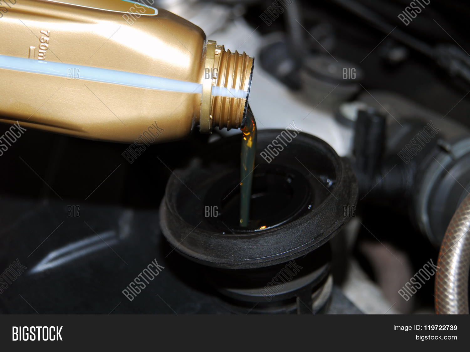 Adding Oil Car Image &amp; Photo (Free Trial) Bigstock