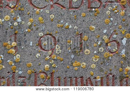 Year 1916 carved in stone covering with moss. The years of World War I.