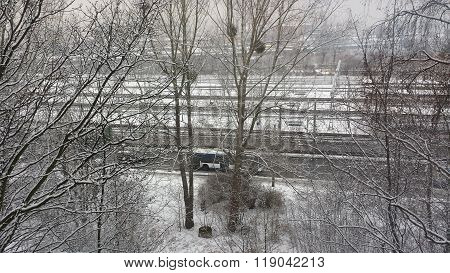 Winter in the city