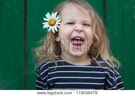 Head and shoulders portrait of two years old grimacing and snarling blonde girl with chamomile flower in her hair