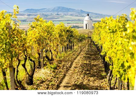 chapel with vineyard near Velke Bilovice, Czech Republic