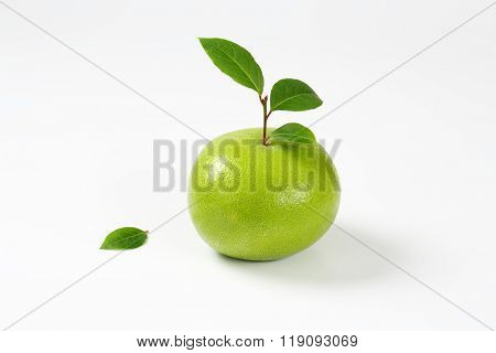 ripe green grapefruit with leaves on white background