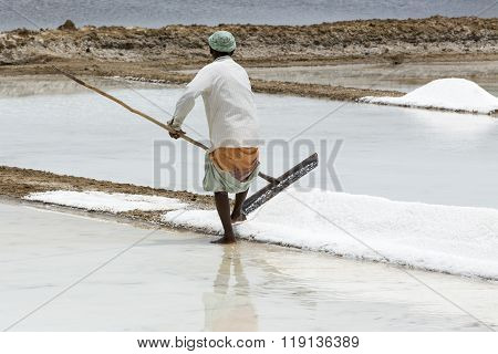 Agriculturist is harvesting salt farm, Pondicherry arera