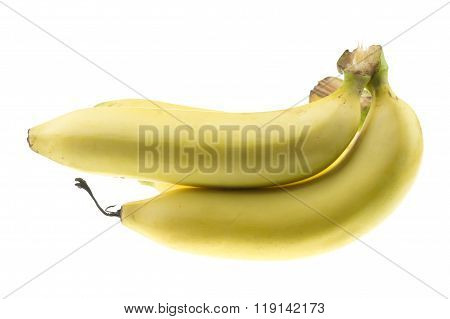 Cavendish Banana Isolate On White Background