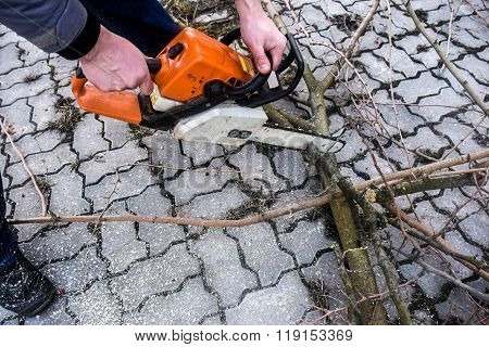 Sawing Branches