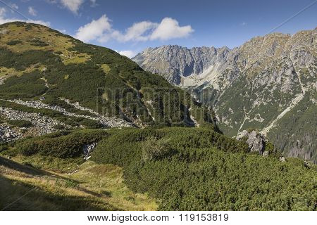 Poland - Tatra National Park In Tatra Mountains, Part Of Carpathian Mountains. Unesco Biosphere Rese