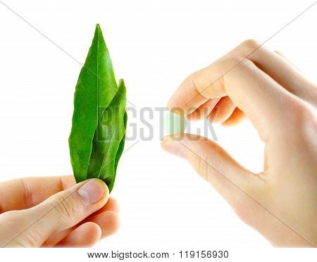 Natural medicines and pills in the hands of