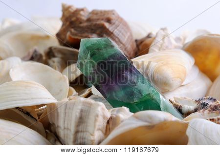 Sea cockleshells background with nephrite crystal