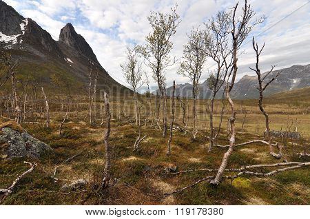 Norway, island Senja