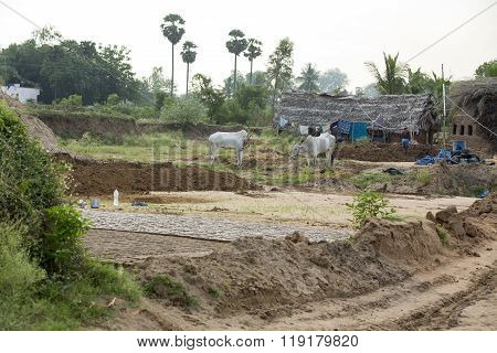 Scenes of rural life in India