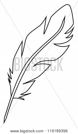 Fluffy Feather Of Dove
