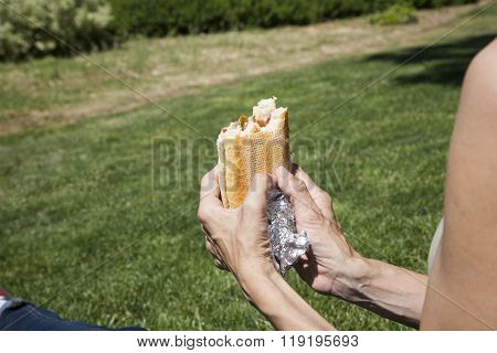 Ham Panini On The Grass