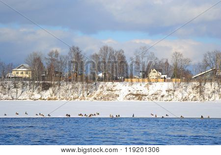 Coast Of The River Neva On The Outskirts Of St. Petersburg