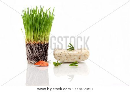 Fresh wheatgrass and bar of soap for spa decor