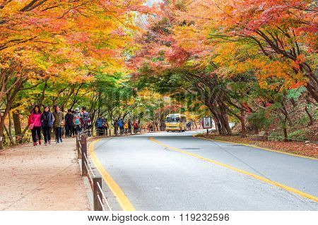 Tourists taking photos of the beautiful scenery around Naejangsan park,South Korea.