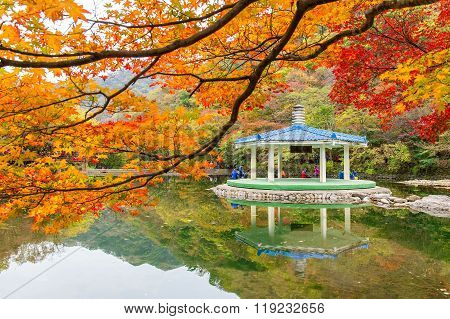 Tourists taking photos of the beautiful scenery around Naejangsan park,South Korea.