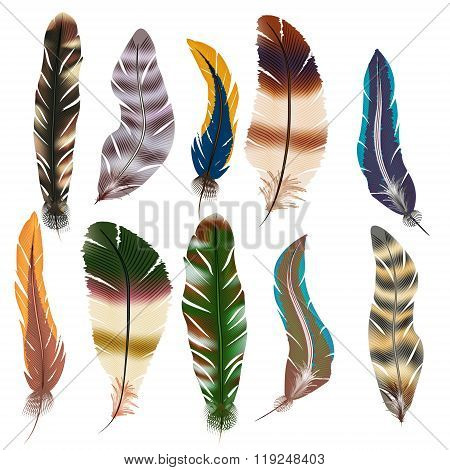 Vector Set Of Feathers