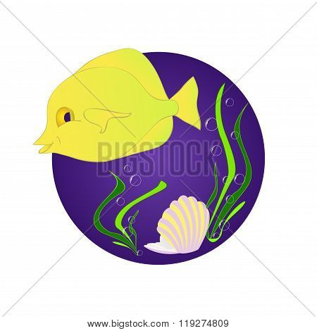 Funny Fish Zebrasoma