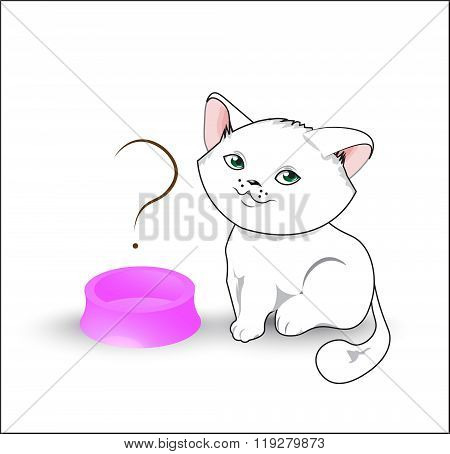 Kitten