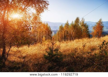 Autumn landscape. Sunset in the Carpathians. Ukraine, Europe