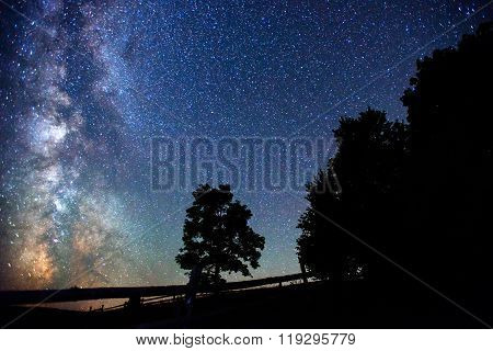 Starry Sky