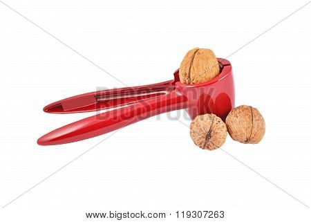 Nutcracker And Nut