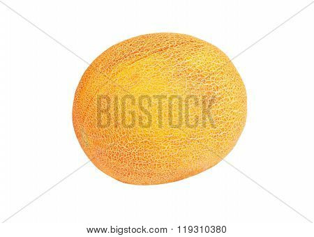 Whole Cantaloup Melon