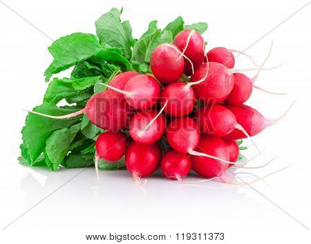 Fresh Red Radish Isolated On A White Background