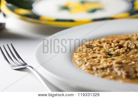 white risotto