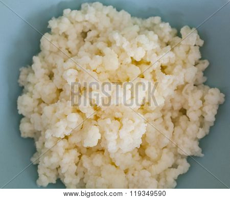 Kefir, Organic Probiotic Grains