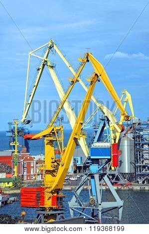 Port cargo crane