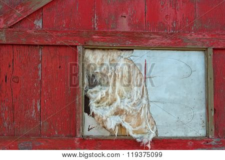 Old Door and Broken Window