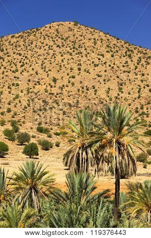 Desert landscape in Antiatlas Mountains, Morocco, Africa