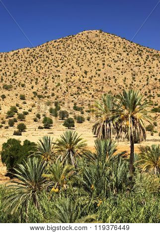 Desert landscape in Antiatlas Mountains, Morocco, Africa
