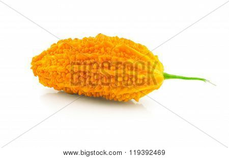 Momordica