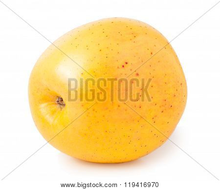 One yellow apple on a white background
