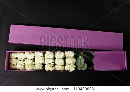 White Roses In Gift Purple Souvenir Box, Place The Logo On A Black Studio Background, Spring Is Comi