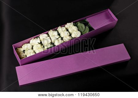 White Roses In Gift Purple Souvenir Box, Place The Logo On A Black Studio Background, Spring Is Comi