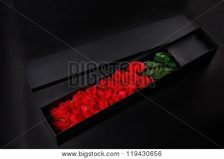 Red Roses In Gift Souvenir Black Box, Place The Logo On A Black Studio Background, Spring Is Coming,