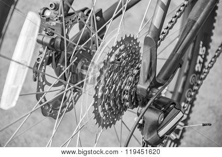 Bicylce Chain And Gear System