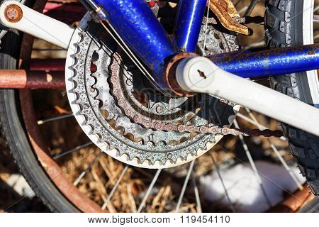 Bicycle Gearing