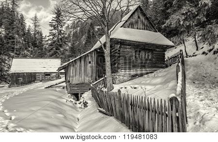 Cottage In Kvacianska Dolina, Slovakia