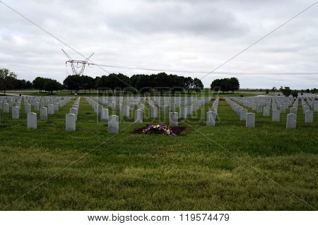 Graves at the Lincoln National Cemetery