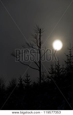 Winter landscape in polish mountains