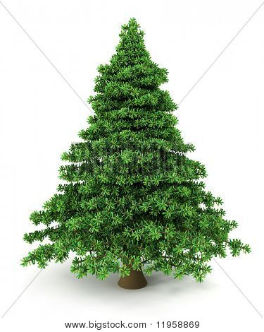Christmas Tree