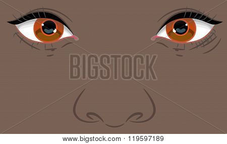 Portrait Of A Child With  Negroid Appearance