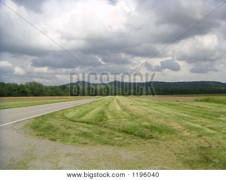 Rural Landscape